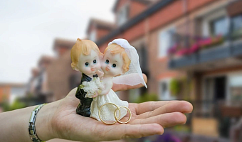 В зеркальную дату 26 июня в Тульской области хотят пожениться уже 239 пар