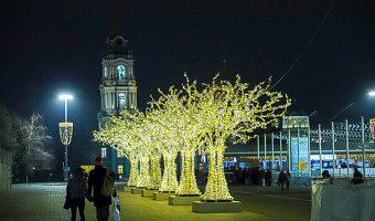 Тулу украсили более 1600 иллюминационных конструкций к Новому году