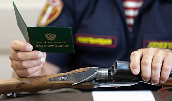 Росгвардия изъяла у туляков 16 единиц оружия на прошлой неделе