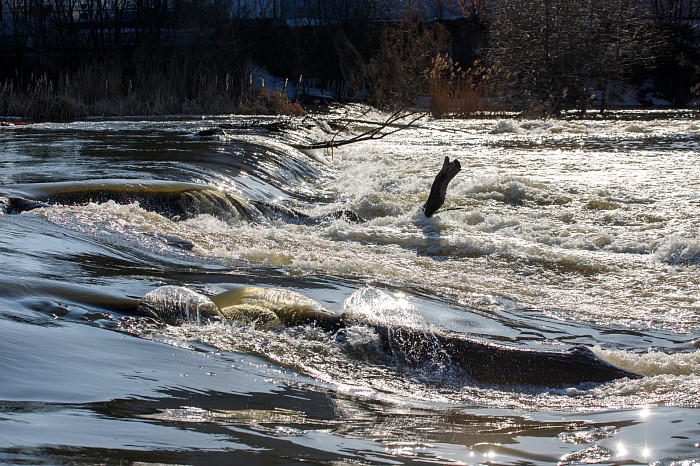 Пролетарская набережная в Туле вот-вот уйдет под воду: пик паводка возможен уже на следующей неделе