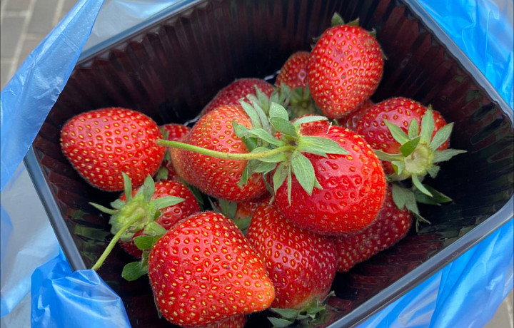 Сейчас цены – еще цветочки, а ягодки будут потом: почему подорожала клубника на тульских рынках и есть ли предел 
