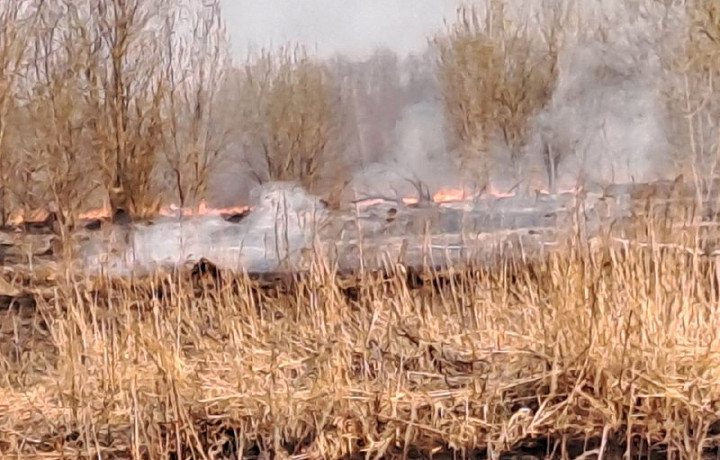 В Тульской области спасатели тушат горящую траву у дороги на Северное Скуратово