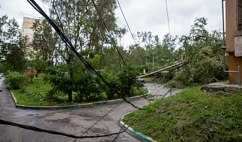 Аварийные службы в Туле убирают упавшие из-за непогоды деревья