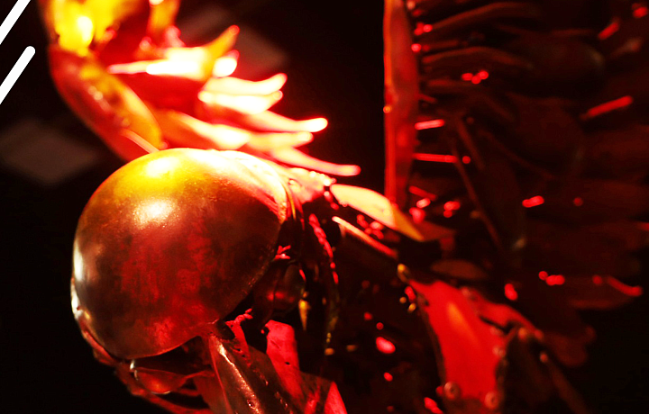 В Туле впервые пройдет стимпанк-фестиваль Ferrum