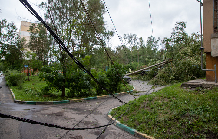 Аварийные службы в Туле убирают упавшие из-за непогоды деревья