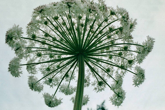 Как сохранить свет в темноте: история юриста, который до потери зрения был успешным фотографом