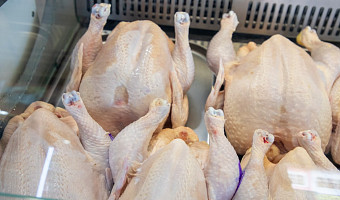 Туластат: с начала года цена на курицу снизилась на 15%