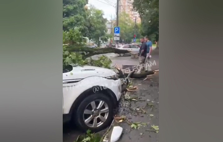 Рухнувшее дерево повредило несколько машин на проезде Тимирязева в Туле