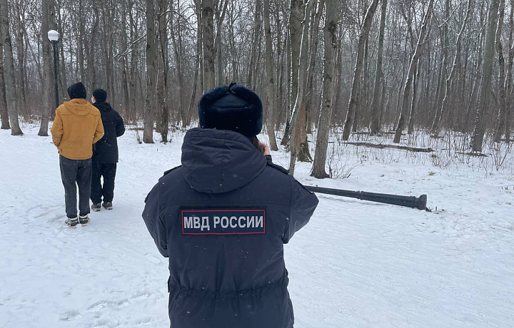 В Щекине задержали двух парней, которые сломали фонари в городском парке