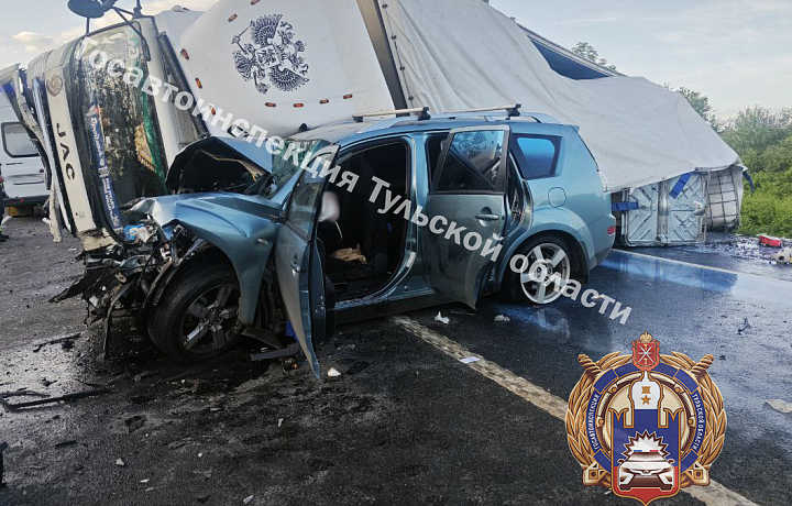 Водитель и пассажирка Mitsubishi попали в больницу после ДТП в Узловском районе