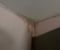 Дождь в квартире: в МКД Скуратово протекает крыша, а УК просит никому не говорить об этом