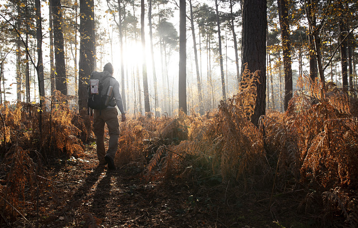 У тульских поисковиков уже 30 «лесных» заявок с мая: как не потеряться в лесу и что делать, если все-таки заблудился?