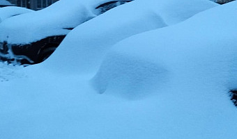 Администрация Тулы поможет жителям отдалённых территорий с доставкой лекарств