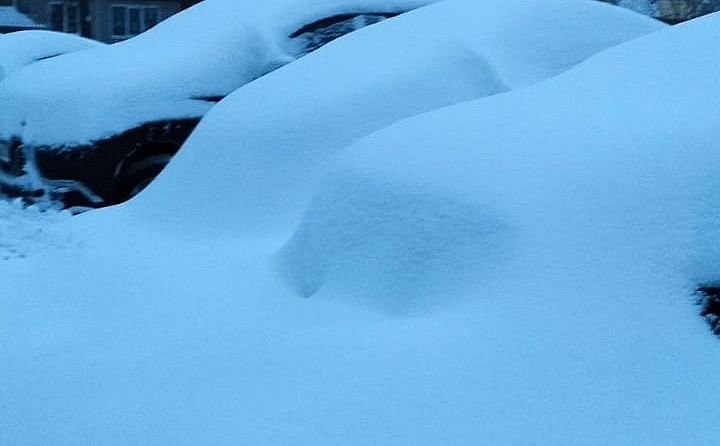 Администрация Тулы поможет жителям отдалённых территорий с доставкой лекарств