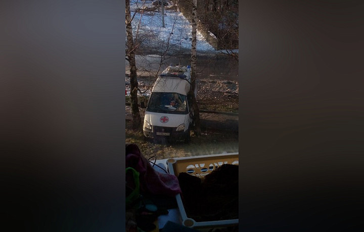 Машина скорой помощи столкнулась с деревом в Алексине Тульской области