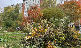 Отопление дали, но это не всё: какие работы УК должны выполнить до наступления холодов