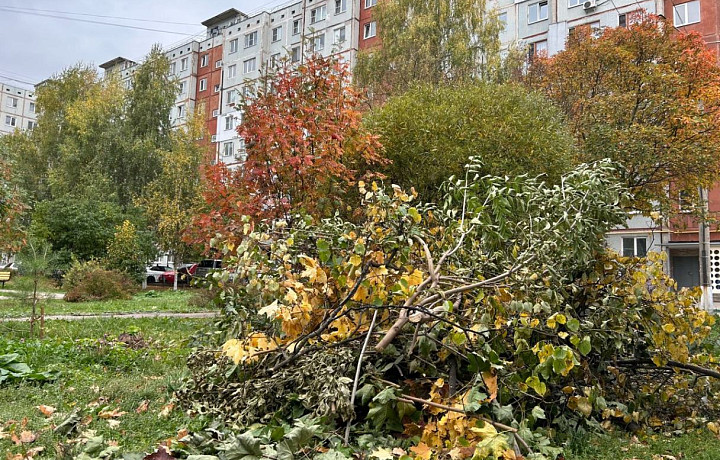 Отопление дали, но это не всё: какие работы УК должны выполнить до наступления холодов