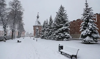 Ожидается оттепель: синоптик Ильин рассказал о погоде в Тульской области в с 9 по 13 февраля
