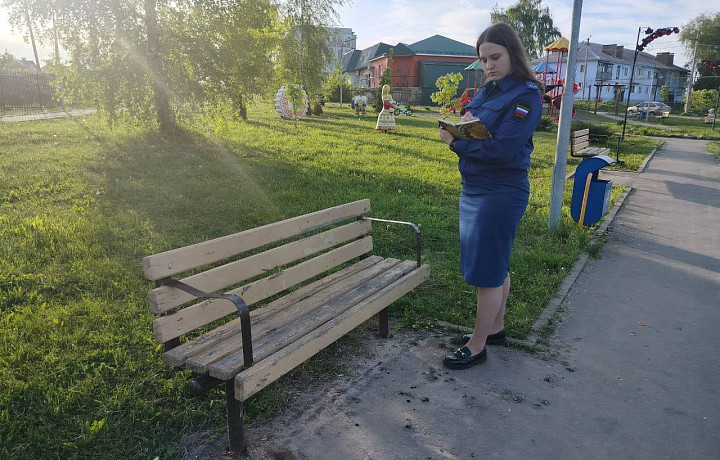 Прокуратура выявила нарушения на детской площадке в тульском поселке Одоев