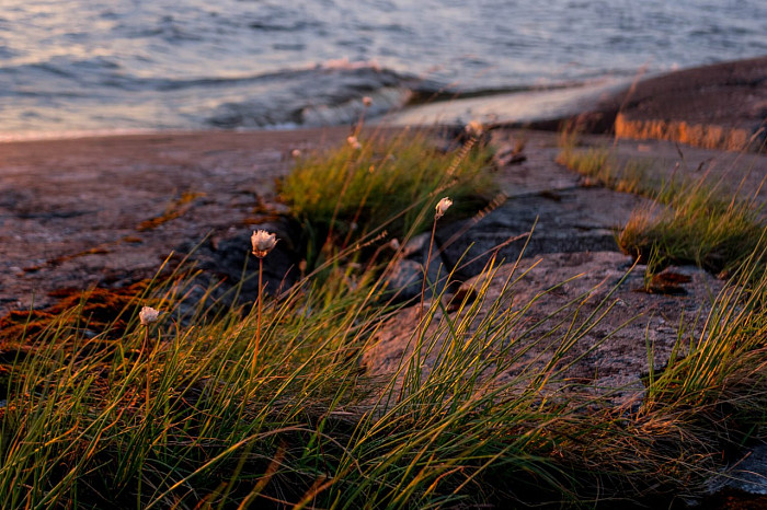 Тулячка путешествует на велосипеде по всему миру: добиралась до Индии и под впечатлением от российского Севера