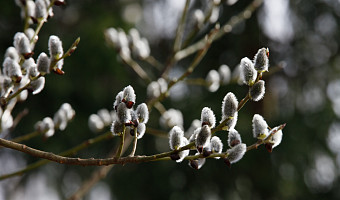 В Тульской области ожидается резкое похолодание после аномального тепла