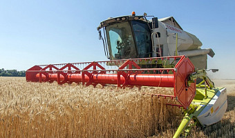 В Киреевском районе убрано 88% зерновых и зернобобовых культур