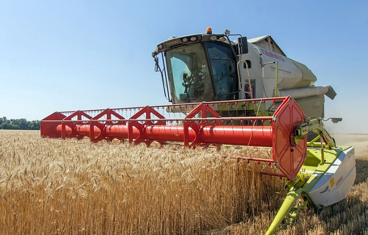 В Киреевском районе убрано 88% зерновых и зернобобовых культур