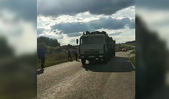 Дюмин подверг резкой критике работу чиновника после видео из Киреевска: детям пришлось идти из школы по трассе рядом с несущимися грузовиками