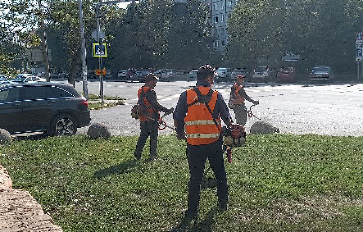 25 августа Тулу продолжили убирать от мусора