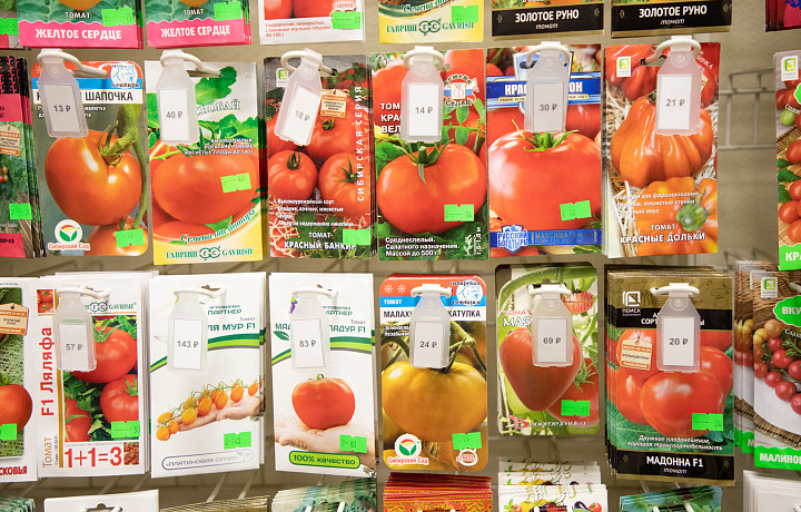 Тульский фермер раскрыла пять особенностей выращивания рассады в феврале