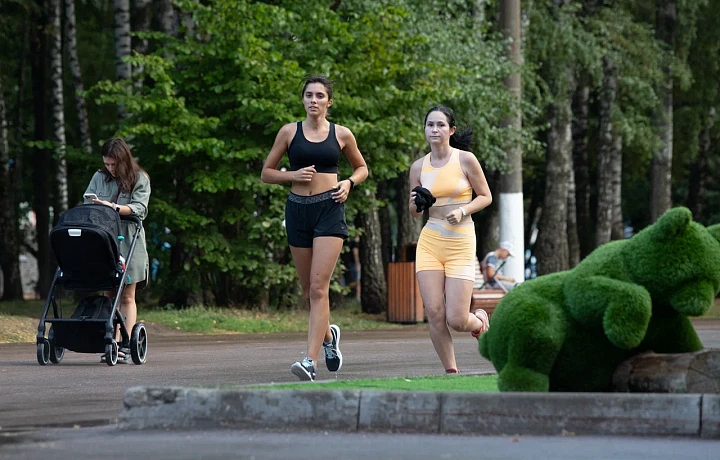 В Тульской области проложат маршруты здоровья
