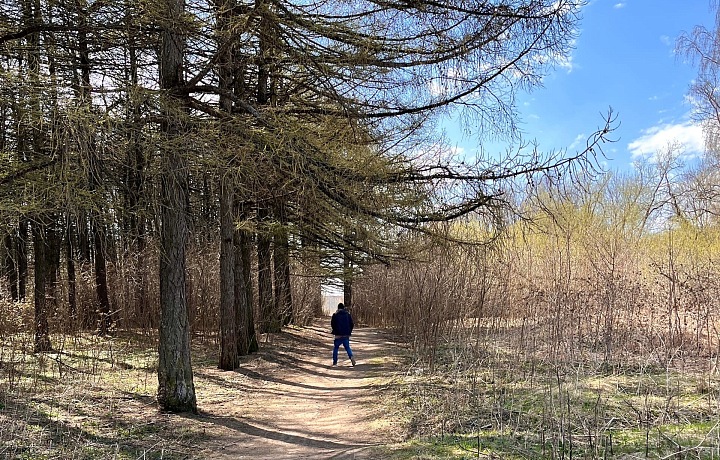 Жители Новомосковска пожаловались на онанистов в местном парке