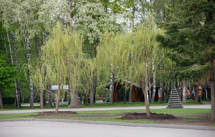 Туляков призвали голосовать за благоустройство территорий