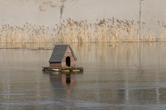 Заплыв у детского городка, затопленное кафе и завораживающая водная гладь: фоторепортаж с набережной в центре Тулы
