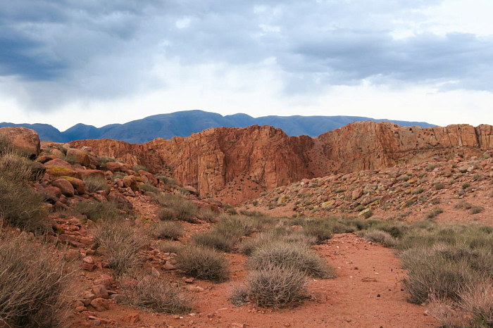 Тулячка путешествует на велосипеде по всему миру: добиралась до Индии и под впечатлением от российского Севера