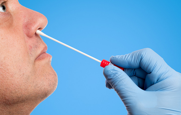 Коронавирусная статистика. Сколько туляков заболели COVID-19 за сутки?