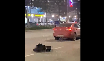 Мужчину, попавшего под машину на Красноармейском проспекте Тулы, доставили в больницу