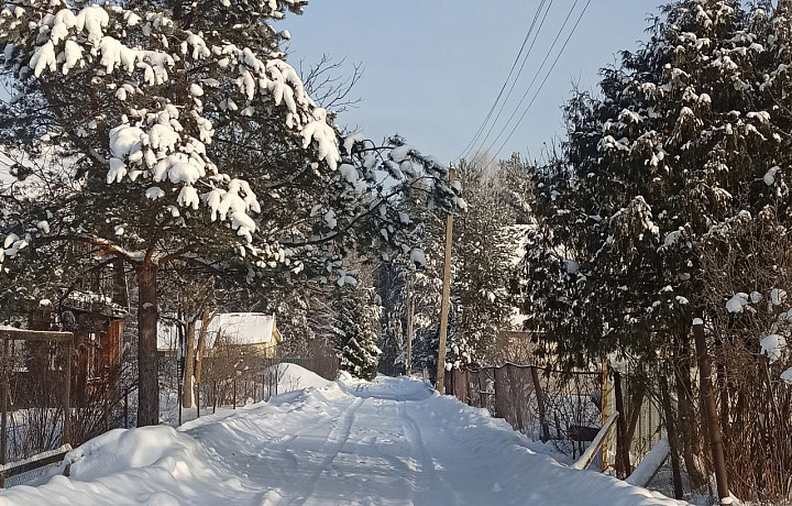 Тульский Росреестр разъяснил новые правила изменения границ СНТ