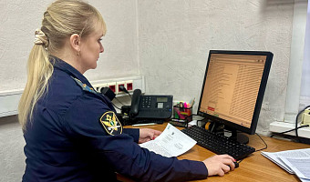 Туляк задолжал по штрафам Госавтоинспекции 33 тысячи рублей