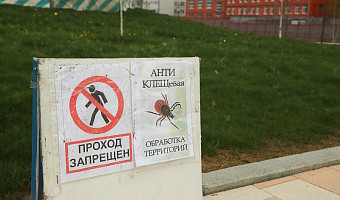 В Тульской области заболеваемость боррелиозом за последние годы выросла в 4 раза