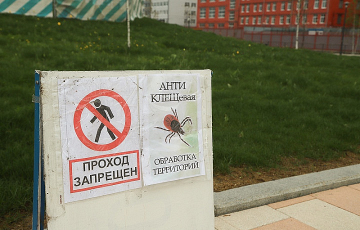 В Тульской области заболеваемость боррелиозом за последние годы выросла в 4 раза