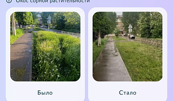 Названы районы-лидеры Тульской области по числу решенных за неделю проблем