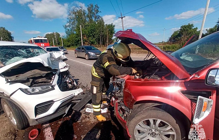 В Тульской области 27 июня произошло три пожара