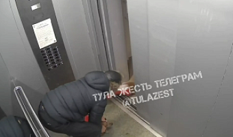 Мужчина избил собак в лифте в Туле