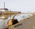 Пролетарская набережная Тулы после «большой воды»: грязь, мусор, коряги – уборка уже идет