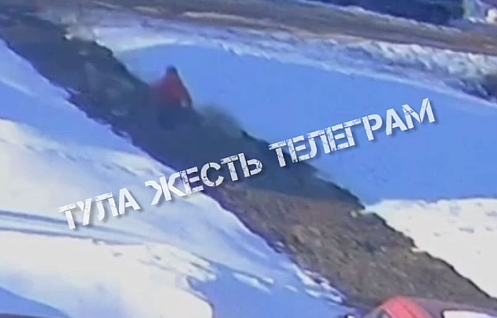 В Новомосковске на ребенка напали бродячие собаки