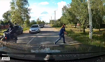 Жительница Щекина спасла ежика от автомобилей на проезжей части