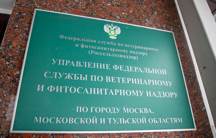 Тульский предприниматель ввез в регион полторы тысячи тонн сомнительного рапса