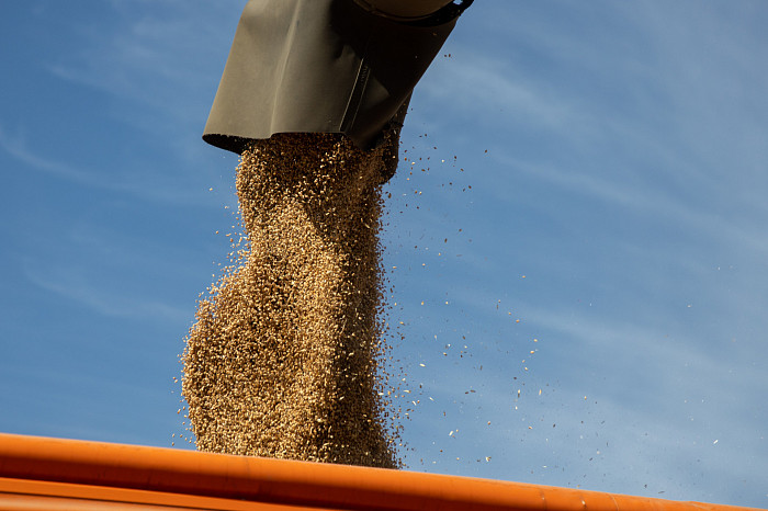 В Ленинском округе Тулы приступили к уборке пшеницы – фоторепортаж
