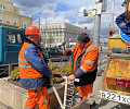 В Туле начали поднимать провода над высаженными деревьями на проспекте Ленина
